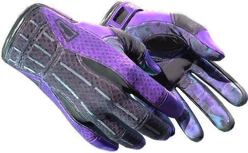 Sport Gloves | Pandora's Box